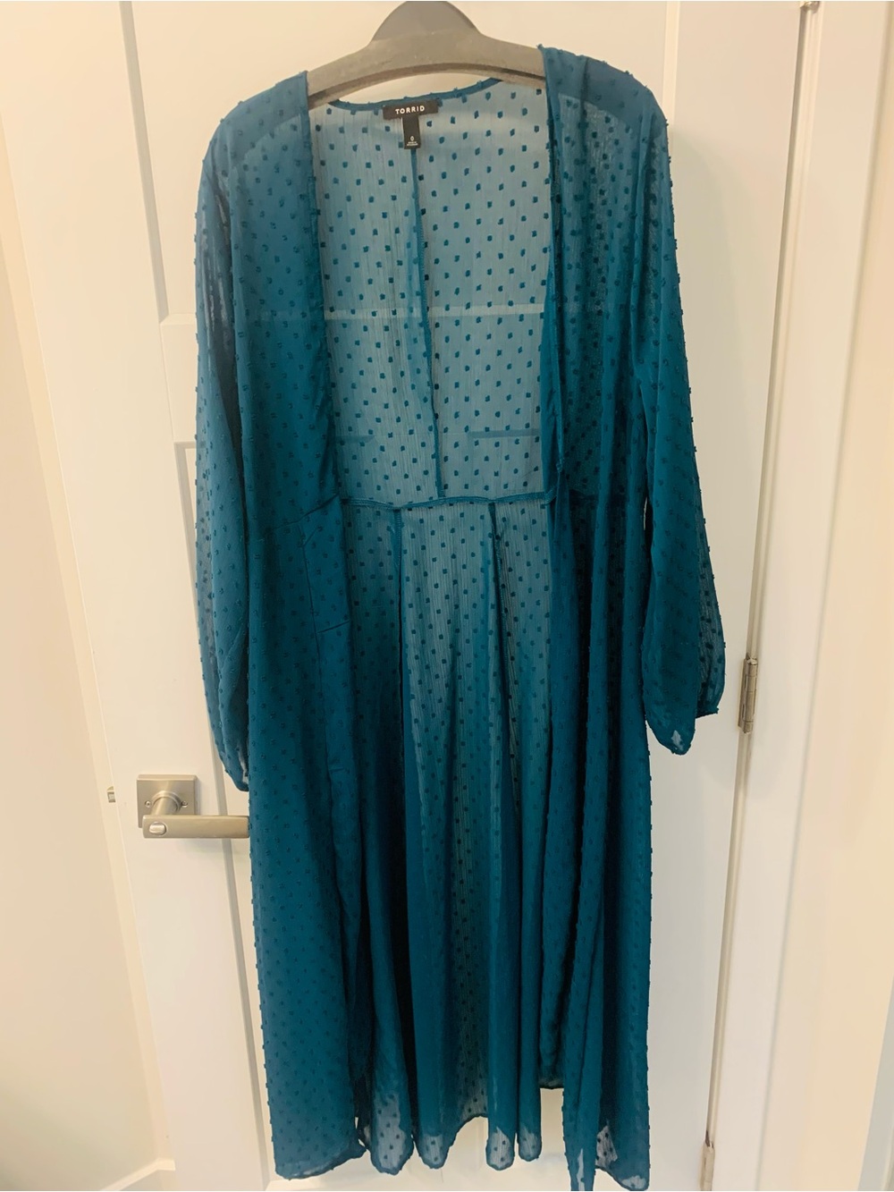 torrid teal sheer dotted long sleeve maxi